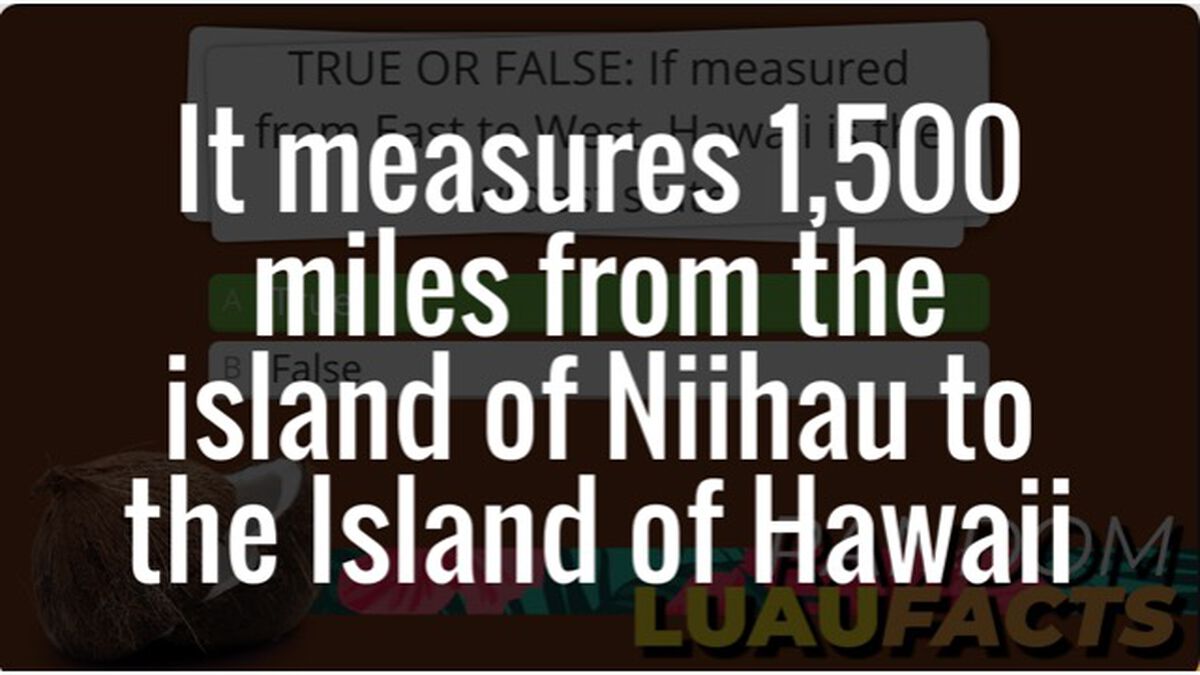 Random Luau Facts - Sidekick image number null